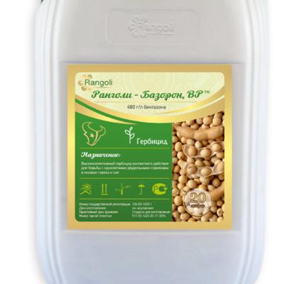 Ранголи-Базорон,  ВР