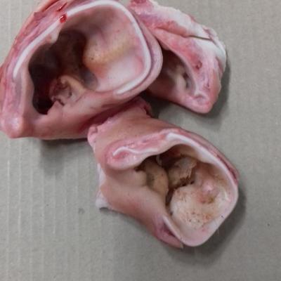 Ушные раковины свиные. Свиная разделка.