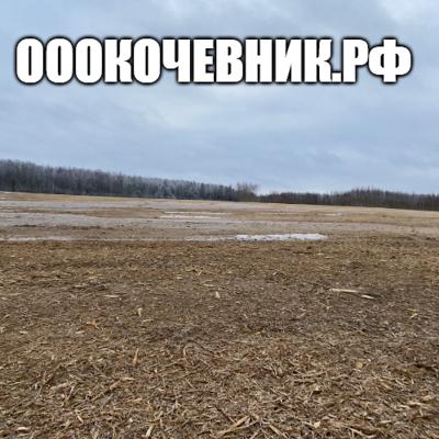 Расчистка территорий под масштабное строительство