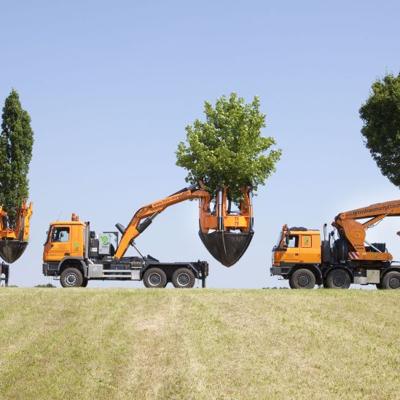 Санитарная вырубка, кронирование, обрезка, мульчирование, ландшафтные работы