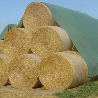 Солома тюках 160 кг рулонах 200 кг