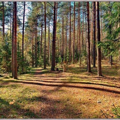 Продаю земдю с/х производства и СНТ/ДНТ