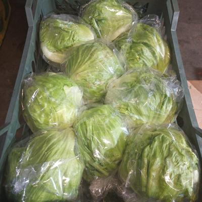 овощи-фрукты.