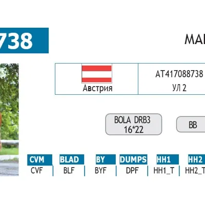 Семя/сперма быков-производителей