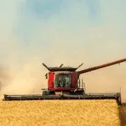 Подсолнечное и соевое масло оптом - ТМ Золотая Семечка