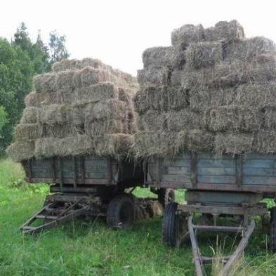 Солома тюках 160 кг рулонах 200 кг