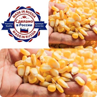 КУКУРУЗА БЕЛАЯ/ЭКСПОРТ