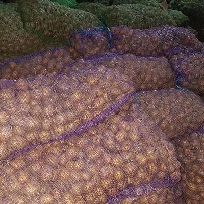 Картофель продовольственный 10+ (80%)