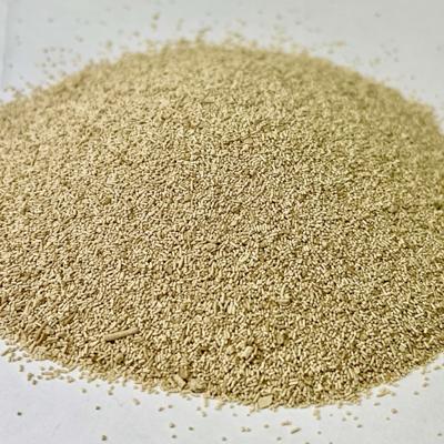 Дрожжи активные Saccharomyces cerevisiae.