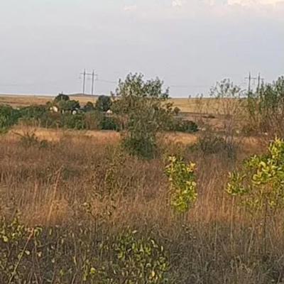 Продам землю сельхоз назначения Крым, Симферополь