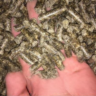 ШРОТ/ПОДСОЛНЕЧНЫЙ ГРАНУЛИРОВАННЫЙ ЭКСПОРТ