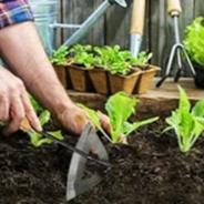 Плодородная земля