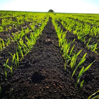 Земля на огород