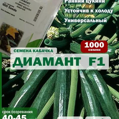 Семена кабачка Диамант F1, 1000 шт