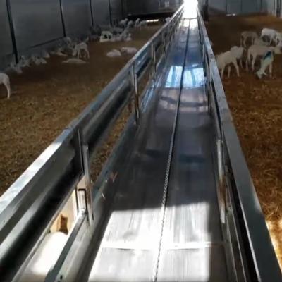 Кормовая лента для коз овец 