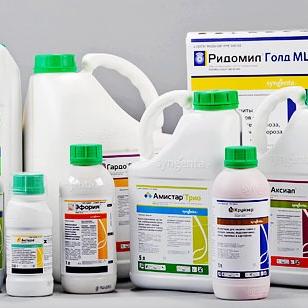 Антон Кожушко